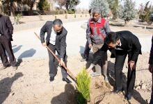 گزارش تصویری از آئیین درختکاری و تقدیر ازهمکاران فضای سبز دانشگاه